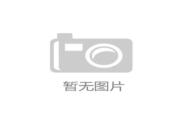 卢赛尔体育场如何在2026年6月通过动态人流测算缓解入场压力